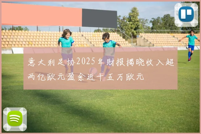 意大利足协2025年财报揭晓收入超两亿欧元盈余近十五万欧元